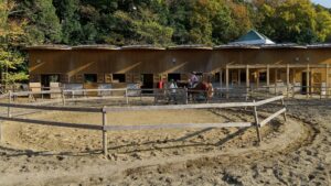 20221119_千葉動物公園での乗馬体験