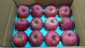 20221221_【訳あり】 サンふじ 約3kg 6～12玉