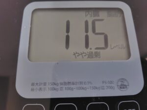 20250630_内臓脂肪