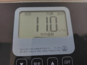 20250730_内臓脂肪