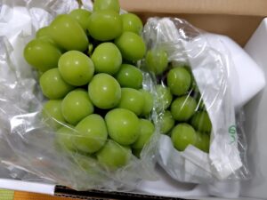 20250822_ふるさと納税返礼品