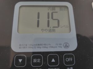 20250827_内臓脂肪