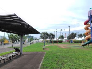 20250914_ロッキン2025公園