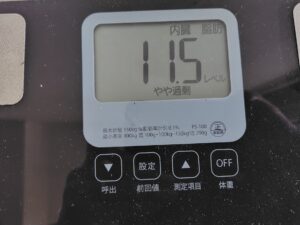 20250930_内臓脂肪