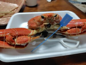 20251112_カニさんアップ