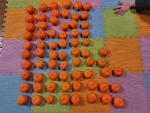 20251223_訳ありみかん２回目