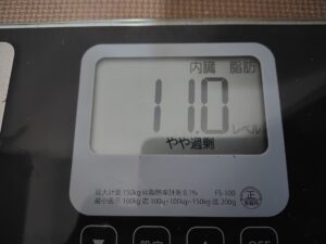 20251224_内臓脂肪