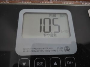 20260330_内臓脂肪
