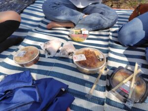 20260329_花見ご飯