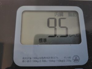 20260629_内臓脂肪